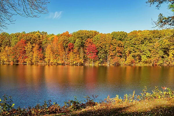 New York, Saratoga Springs Autumn scene near lake