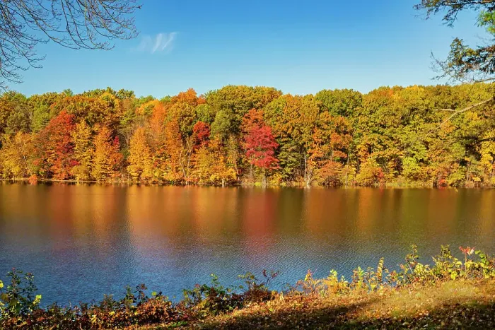 Framed Print : New York, Saratoga Springs Autumn scene near lake Framed Print : New York, Saratoga Springs Autumn scene near lake