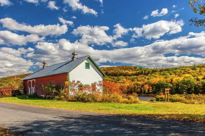 Framed Print : New York State fall colors with barn, Cuddybackville