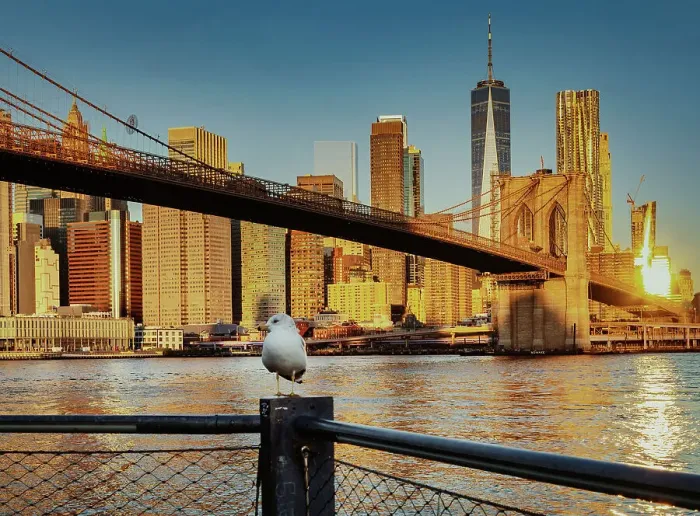 Framed Print : NY, NYC, Brooklyn Bridge with Financial District in the background Framed Print : NY, NYC, Brooklyn Bridge with Financial District in the background