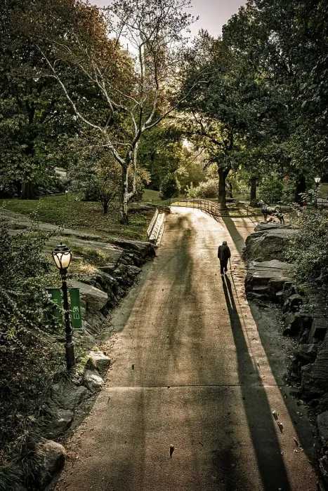 Framed Print : NY, NYC, Central Park Framed Print : NY, NYC, Central Park