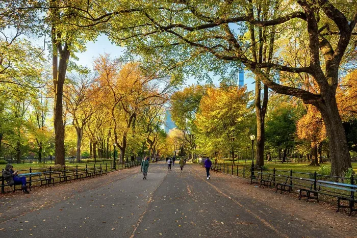 Framed Print : NY, NYC, Central Park, Central Park Mall, The Mall Framed Print : NY, NYC, Central Park, Central Park Mall, The Mall