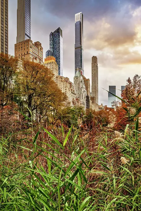 Framed Print : NY, NYC, Central Park, Midtown skyline Framed Print : NY, NYC, Central Park, Midtown skyline