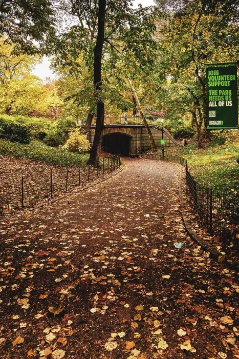 Framed Print : NY, NYC, Central Park, Path leading to Dipway Arch Framed Print : NY, NYC, Central Park, Path leading to Dipway Arch
