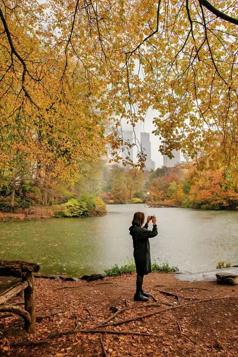 Framed Print : NY, NYC, Central Park, view of colorful foliage and Pond Framed Print : NY, NYC, Central Park, view of colorful foliage and Pond