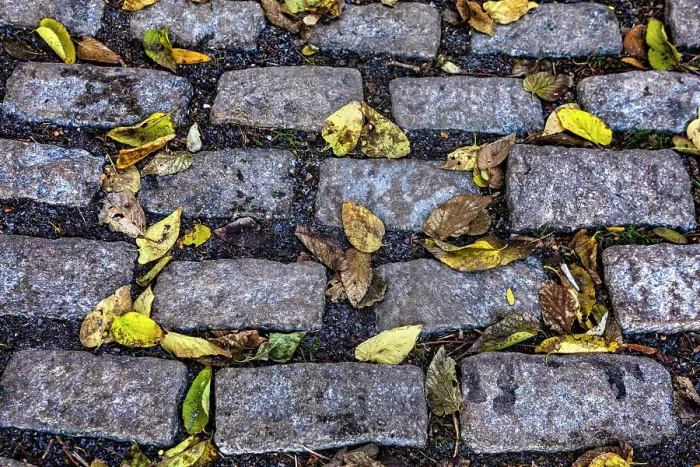 Framed Print : NY, NYC, Cobblestone street with autumn leaves Framed Print : NY, NYC, Cobblestone street with autumn leaves