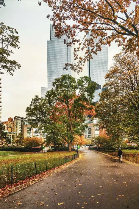 Framed Print : NY, NYC, Deutsche Bank Center viewed from Central Park path Framed Print : NY, NYC, Deutsche Bank Center viewed from Central Park path