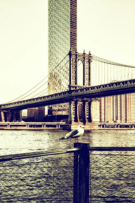 Framed Print : NY, NYC, Manhattan, One Manhattan Square and Manhattan Bridge Framed Print : NY, NYC, Manhattan, One Manhattan Square and Manhattan Bridge