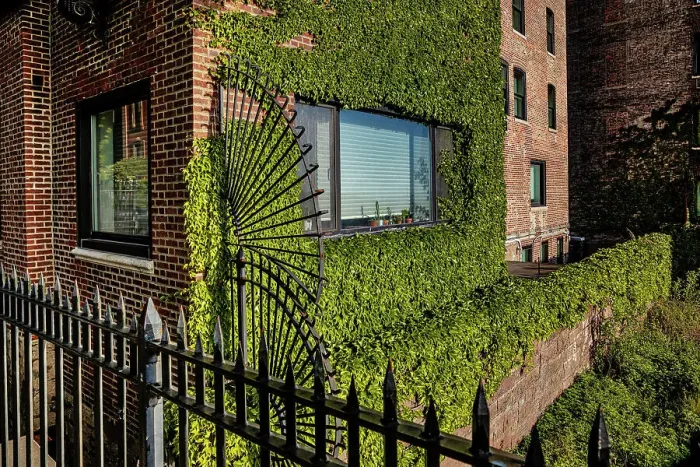 Framed Print : NYC, Brooklyn, Brooklyn Heights, building covered by green plants
