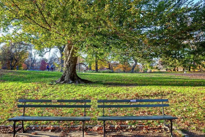Framed Print : NYC, Central Park, benches at park