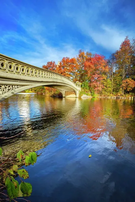 Framed Print : NYC, Manhattan, Central Park, Bow Bridge During Autumn Framed Print : NYC, Manhattan, Central Park, Bow Bridge During Autumn