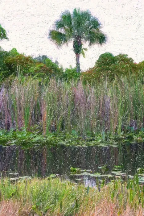 Framed Print : Oil painting of palm tree in the marshes Framed Print : Oil painting of palm tree in the marshes