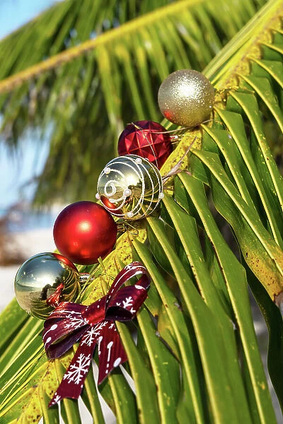 Palm tree leaf with Christmas ornaments