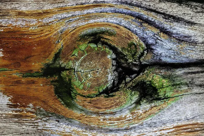 Framed Print : Pattern in wood Framed Print : Pattern in wood