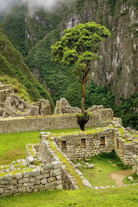 Framed Print : Peru, Machu Picchu ruins Framed Print : Peru, Machu Picchu ruins