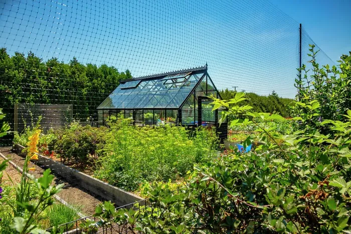 Framed Print : Rhode Island, Newport, Hydrangea garden with greenhouse on Ocean Avenue Framed Print : Rhode Island, Newport, Hydrangea garden with greenhouse on Ocean Avenue