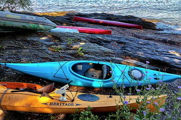 Rhode Island, Newport, kayaks on grass