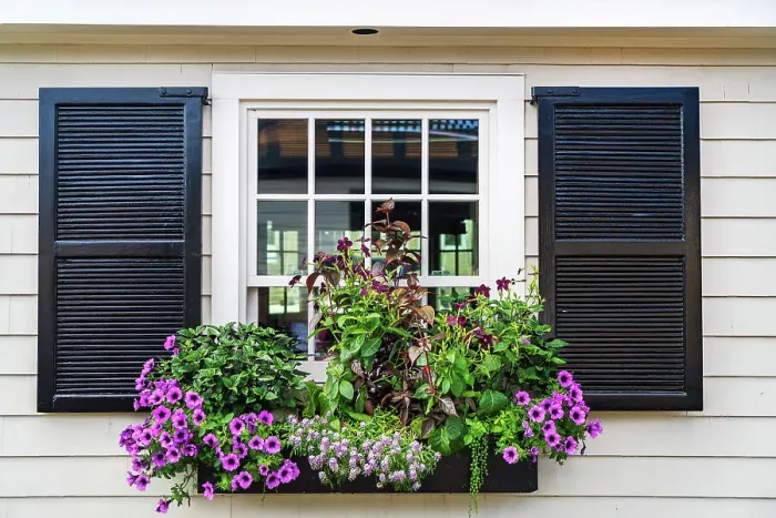 Framed Print : Rhode Island, Newport, typical window with flower box on Bannister's Wharf Framed Print : Rhode Island, Newport, typical window with flower box on Bannister's Wharf