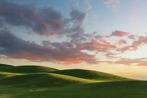 Rolling green hills at sunrise