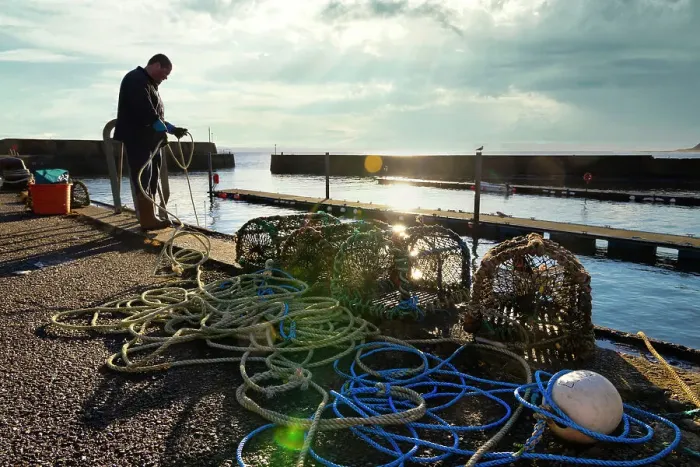 Framed Print : Scotland, Balintore, Lobster Fisherman with Traps Framed Print : Scotland, Balintore, Lobster Fisherman with Traps