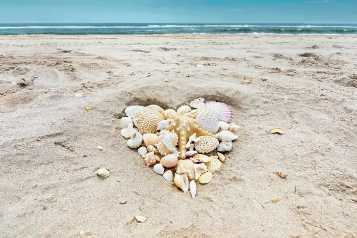 Framed Print : Seashells arranged in heart shape on beach