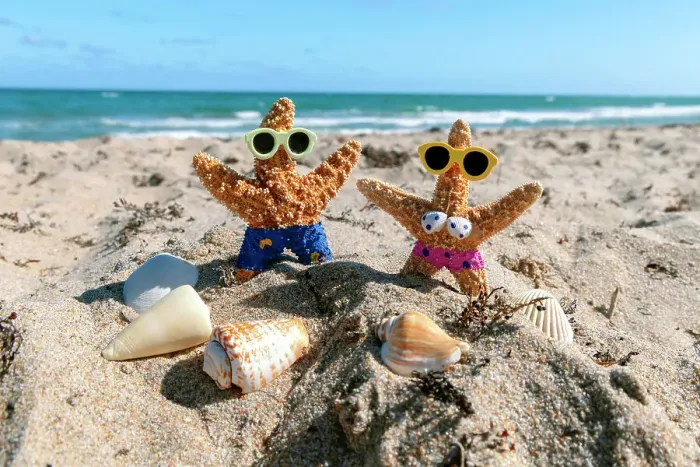 Framed Print : Starfish couple vacationing in Florida