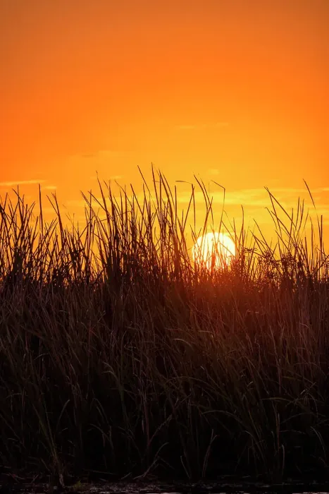 Framed Print : Sunset over the Everglades Framed Print : Sunset over the Everglades