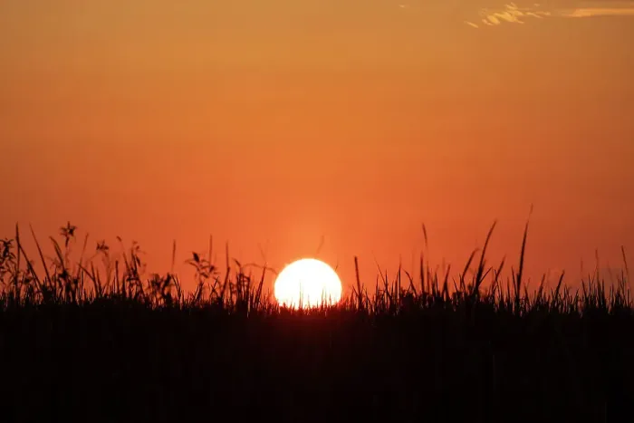 Framed Print : Sunset over wetlands Framed Print : Sunset over wetlands