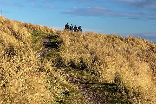 UK, Scotland, Balintore, People Walking on grassland trail