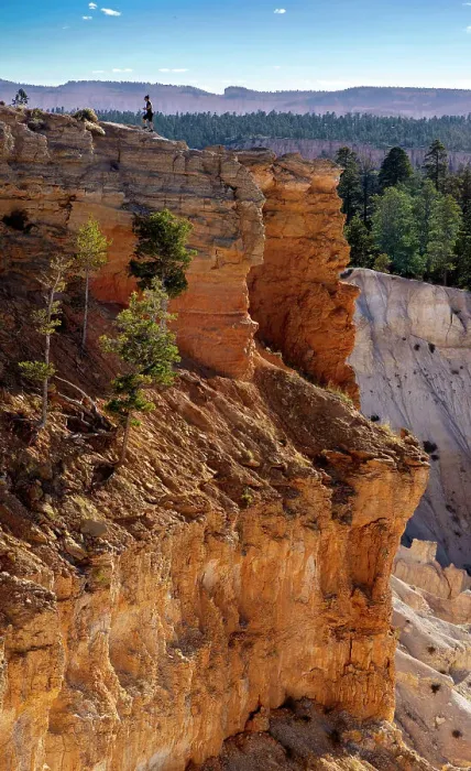 Framed Print : United States, Utah, Bryce Canyon National Park, Colorado Plateau, Bryce Canyon National Park Framed Print : United States, Utah, Bryce Canyon National Park, Colorado Plateau, Bryce Canyon National Park