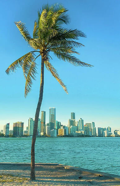 USA, Florida, Miami, Buildings overlooking Biscayne Bay