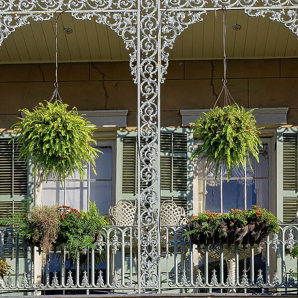 USA, Louisiana, New Orleans, typical wrought iron house, French Quarter architecture