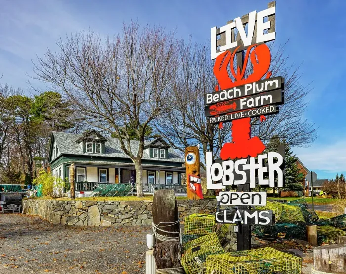 Framed Print : USA, Maine, Ogunquit, Beach Plum Farm TAKE OUT Framed Print : USA, Maine, Ogunquit, Beach Plum Farm TAKE OUT