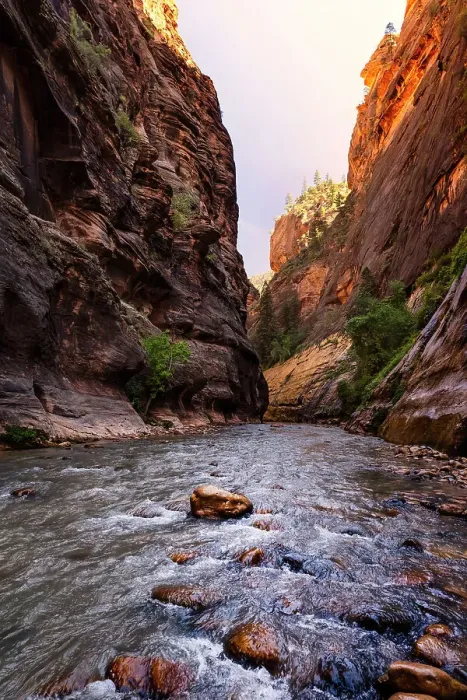 Framed Print : Utah, Zion National Park, Virgin River, The Narrows Framed Print : Utah, Zion National Park, Virgin River, The Narrows