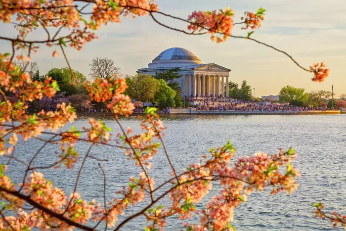 Framed Print : Washington, D.C. Jefferson Memorial During Springtime Framed Print : Washington, D.C. Jefferson Memorial During Springtime