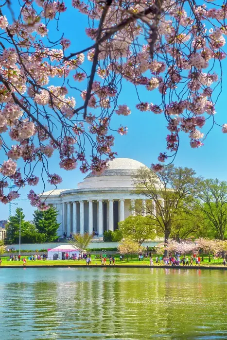 Framed Print : Washington, D.C. Jefferson Memorial During Springtime