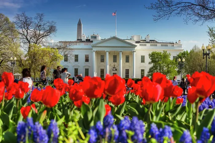 Framed Print : Washington, D.C. The White House Framed Print : Washington, D.C. The White House