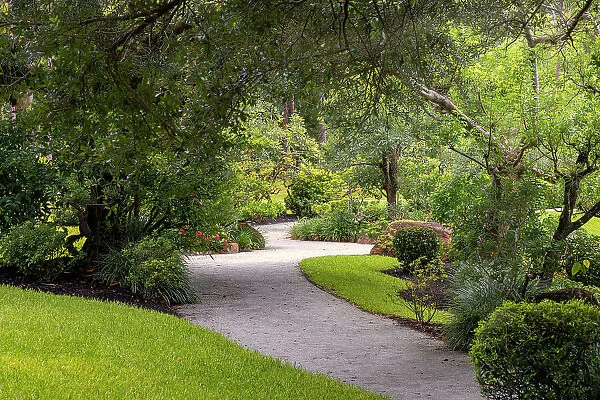 Winding garden path
