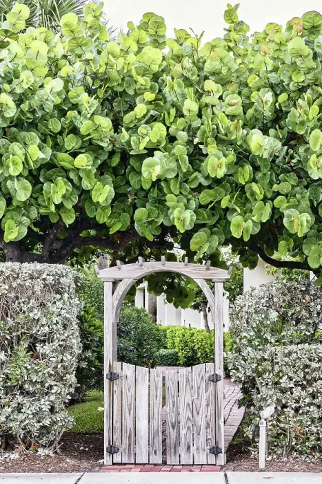 Framed Print : Wooden entrance surrounded by tree Framed Print : Wooden entrance surrounded by tree