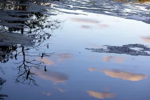 National Park Prints: Abstract of clouds and tree with birds reflecting over water