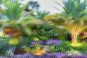 Foliage Prints: Abstract of colorful garden