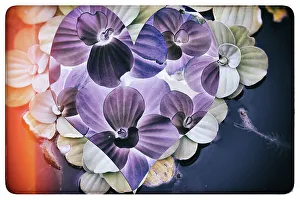 Love Prints: Abstract of heart shape over aquatic plants