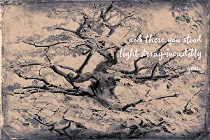Love Prints: Abstract of tree branches with inspiring message