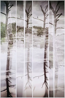 Images Dated 14th July 2023: Artistic view of bare tree in sections, reflecting over water