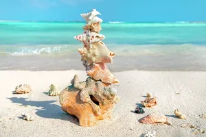 Atlantic Ocean Prints: Aruba, Baby beach scene