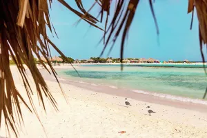 Atlantic Ocean Prints: Aruba, Baby beach Scene from straw hut