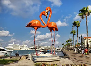 Island Prints: Aruba, Oranjestad, Flamingos Sculpture