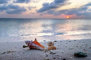 Images Dated 30th March 2023: Aruba, Sunset Scene at Juanita beach