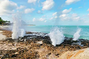 Gateway Prints: Aruba, Water Holes next to Eagle Beach