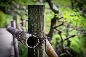 Fenced Prints: Bamboo rod with water drop